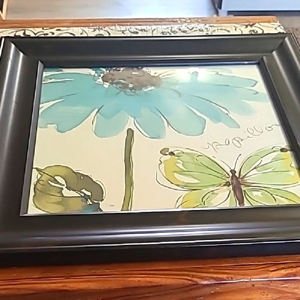 Kohl's Papillion Picture